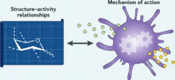 Natural and synthetic carbohydrate-based vaccine adjuvants and their mechanisms of action | Immunology and Biotherapies | Scoop.it