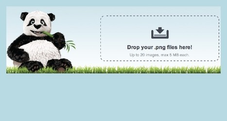 Tiny PNG  reduce el tamaño de tus imágenes | TIC & Educación | Scoop.it