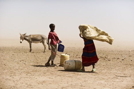 KENYA | Africa's first 'Islamic-compliant' livestock insurance pays 100 herders for drought-related losses | Climate Change & DRR in East Africa | Scoop.it