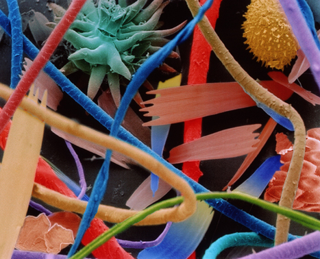 Everyday Objects Under Electron Microscope | Amazing Science | Scoop.it