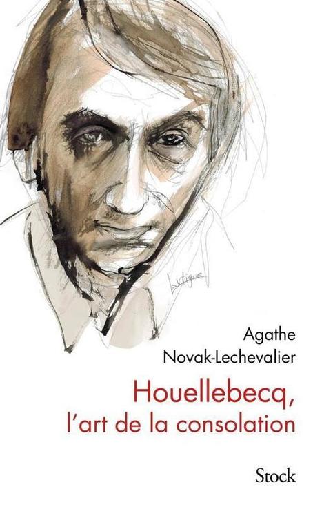 Houellebecq, l'art de la consolation, Agathe Novak-Lechevalier | Stock | J'écris mon premier roman | Scoop.it