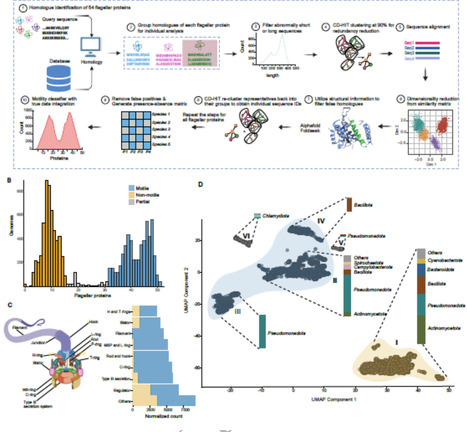Mapping the loss of flagellar motility across the tree of life | isme | RMH | Scoop.it