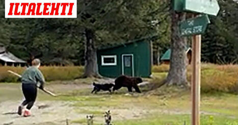 Kymmeni&auml; miljoonia katselukertoja: Koiran uroteko mykist&auml;&auml; | 1Uutiset - Lukemisen t&auml;hden | Scoop.it