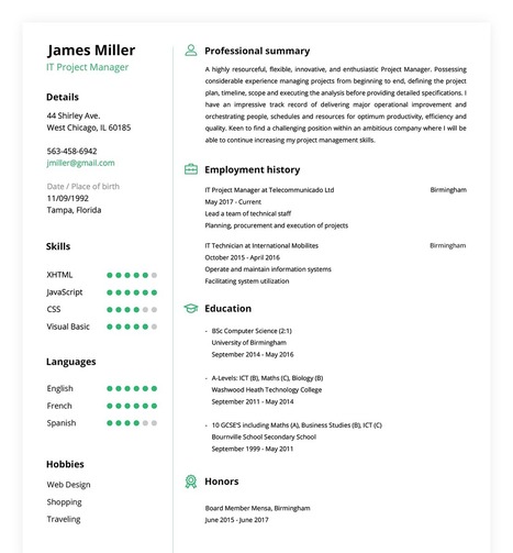 Resume Maker Online | Create a Perfect Resume in 5 Minutes! | resumebuild | Scoop.it