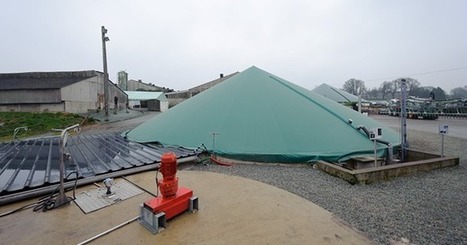 Hausse du tarif d'achat de l'&eacute;lectricit&eacute; pour les installations valorisant les effluents d'&eacute;levage | Economie Responsable et Consommation Collaborative | Scoop.it