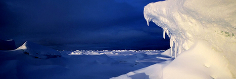 Plastique - même la banquise arctique est gangrenée | Risques du monde d'aujourd'hui et du "monde d'après" : changement climatique, pollution, santé, modes de vie, démographie, crises sociales, cyber......) | Scoop.it