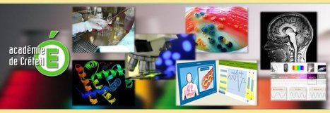 Le cycle du virus de la grippe [Animation] | Veille Éducative - L'actualité de l'éducation en continu | Scoop.it