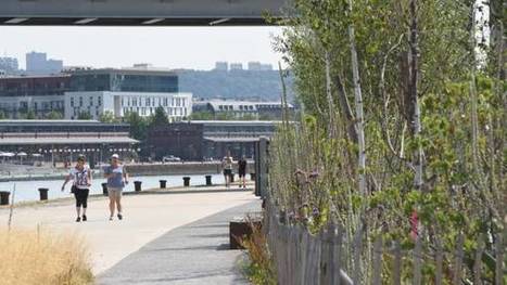 En Normandie, le d&eacute;fi du sans poubelle | Une semaine d'actu - Newsletter de veille de l'AURH | Scoop.it