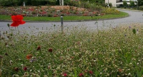 Biodiversit&eacute; : &agrave; l'heure du grand inventaire | Biodiversit&eacute; | Scoop.it