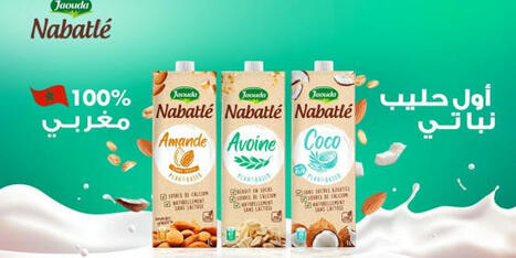 MAROC : COPAG-Jaouda lance Nabatlé, le premier lait végétal 100% marocain | CIHEAM Press Review | Scoop.it