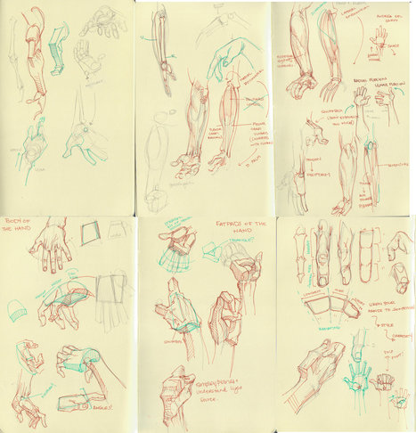 Hand Drawing Reference Guide | Drawing References and Resources | Scoop.it