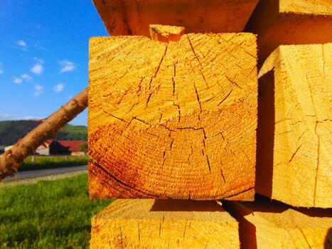 Construction bois FSC : l'arbre qui ne cache plus la forêt  | Architecture - Construction | Scoop.it