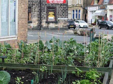 &laquo;&nbsp;Incredible edible&nbsp;&raquo;&nbsp;: un potager citoyen et gratuit pour tous&nbsp;? Pas si fous ces Anglais - Rue89 | Plusieurs id&eacute;es pour la gestion d'une ville comme Namur | Scoop.it