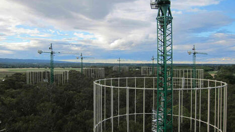 Prairies sous Plexiglas, images satellite, &eacute;quations&hellip; comment les scientifiques pr&eacute;disent les&nbsp;effets du changement climatique sur les&nbsp;&eacute;cosyst&egrave;mes | ECOLOGIE - ENVIRONNEMENT | Scoop.it