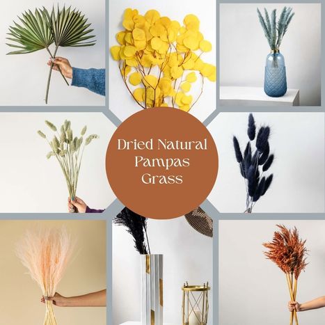 Dried Natural Pampas Grass Bunch and Bundles | Home Decor Items and Accessories | Scoop.it