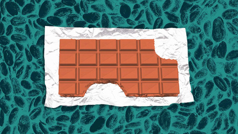 COCOA FREE: Chocolate prices are skyrocketing but this company has a solution | ALIMENTATIONS | Scoop.it
