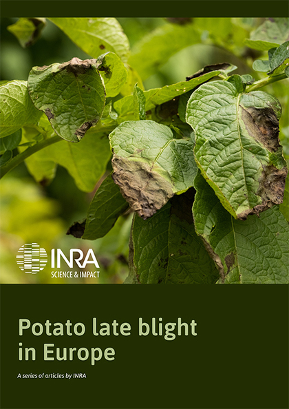 Book: Potato late blight in Europe (2020) | Plants and Microbes | Scoop.it