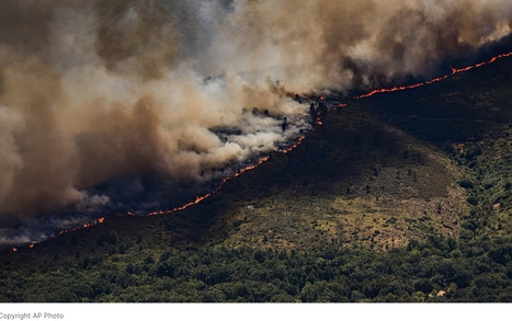 WILDFIRES up 57% in Europe in just four years, WHO warns | Euronews | CIHEAM Press Review | Scoop.it