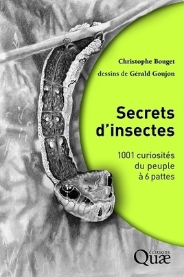 &Eacute;dition. Entrez dans le cabinet de curiosit&eacute;s de nos amis les insectes ! | Irstea | Vari&eacute;t&eacute;s entomologiques | Scoop.it