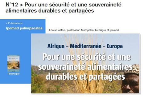 Afrique-M&eacute;diterran&eacute;e-Europe: l'enjeu de la s&eacute;curit&eacute; alimentaire | DURABILITES | Scoop.it