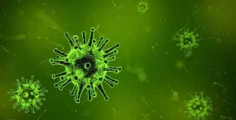Un programa usa los datos de Google para saber cuánta gente va a tener gripe | El rincón de mferna | Scoop.it