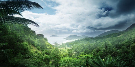 Unplug: Turning Off Technology in the Amazon Jungle | RAINFOREST EXPLORER | Scoop.it