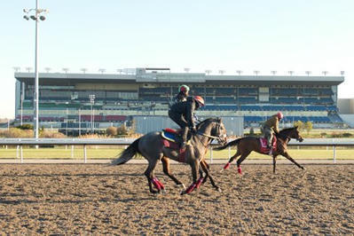Training on Woodbine Main Track to Resume - BloodHorse | Racing News | Scoop.it