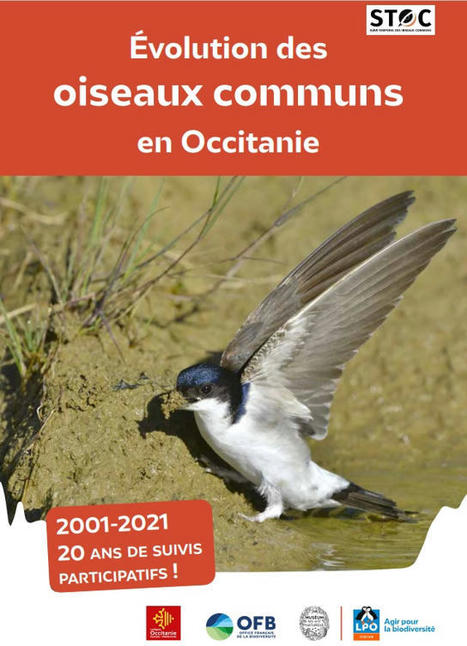 Évolution des oiseaux communs en région Occitanie : 2001-2021, 20 ans de suivis participatifs ! | Biodiversité | Scoop.it