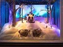 Take a virtual tour of New York's Christmas windows | consumer psychology | Scoop.it