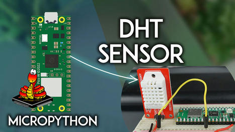 Raspberry Pi Pico: DHT11/DHT22 Temperature and Humidity Sensor (MicroPython) | tecno4 | Scoop.it