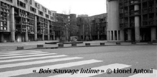 Relogement et réhabilitation. Au coeur du quartier « Bois Sauvage » à Évry, le 25 janvier | Labo Cités - L'actualité de la politique de la ville en Auvergne-Rhône-Alpes | Scoop.it