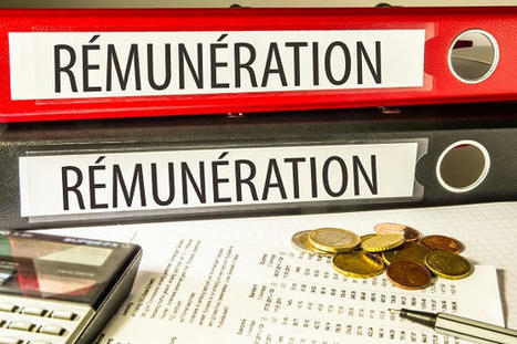 Rémunérations : gel et inflation, les salaires des agents dans le rouge | Veille juridique du CDG13 | Scoop.it