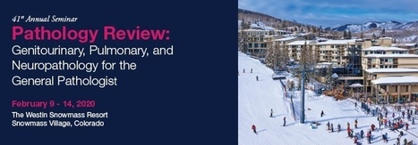 41st Pathology Seminar CME Meeting - 2020 Snowmass CME | Educational Symposia | CME-CPD | Scoop.it