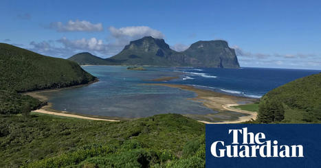Lord Howe island faces ‘major’ coral bleaching as ocean temperatures continue to break records | Environment | The Guardian | Coastal Restoration | Scoop.it