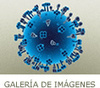 Medicina molecular - FIBAO - fichas, monografias, actualidad, animaciones en Medicina Molecular (algo de Inmunología) | Immunology for University Students | Scoop.it