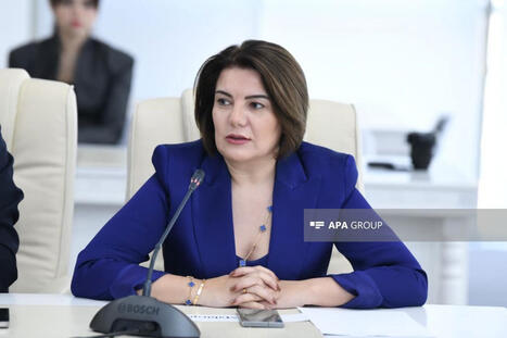 Digitization of Azerbaijani dictionaries essential for media and AI, says APA Media chief | Metaglossia: The Translation World | Scoop.it