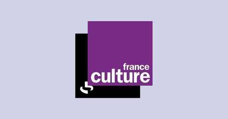 La Vie numérique : podcast - à suivre absolument sur France Culture tous les matins | Pédagogie & Technologie | Scoop.it