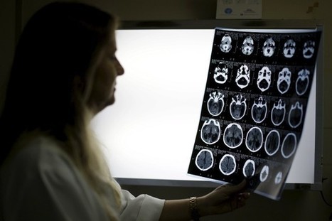 Virus Zika : les inquiétudes grandissent | EntomoNews | Scoop.it