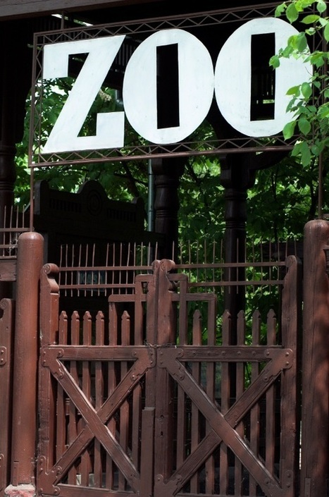 Trade Shows Are A Zoo | B2B OP TBS | Scoop.it