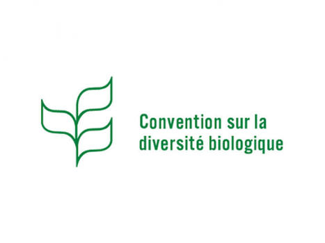 COP15 de la Convention sur la Diversité Biologique | Biodiversité | Scoop.it