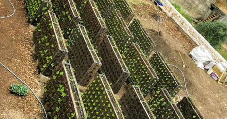 Autosuffisance en temps de crise : l’agriculture verticale se développe au LIBAN | CIHEAM Press Review | Scoop.it