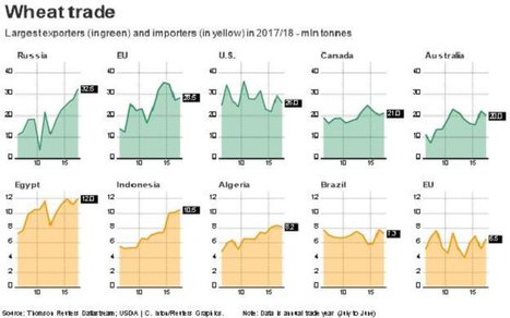 Le Maroc a supprim&eacute; les droits de douane pour le bl&eacute; russe | MED-Amin network | Scoop.it