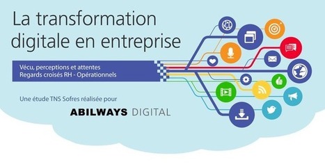 La transformation digitale en entreprise | TNS Sofres | Digital Marketing & IA Marketing | Scoop.it