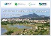 Une webconférence sur les zones humides à destination des élus - Eau dans la ville | Biodiversité | Scoop.it