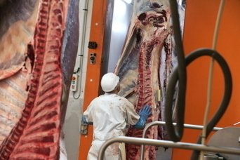 La filière viande traverse plutôt bien la crise sanitaire | Actualité Bétail | Scoop.it