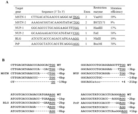Efficient Gene Knockout in Goats Using CRISPR/Cas9 System | Animal Models - GEG Tech top picks | Scoop.it