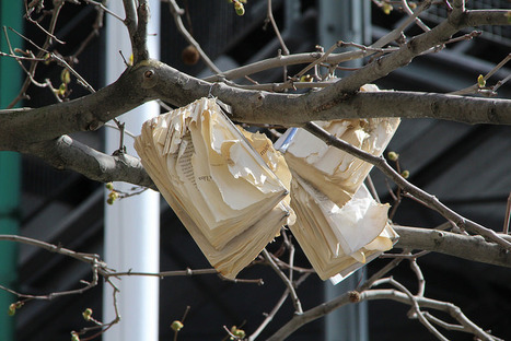 Ces #biblioth&egrave;ques sont les plus #&eacute;cologiques du monde | Bo&icirc;te &agrave; outils num&eacute;riques | Scoop.it