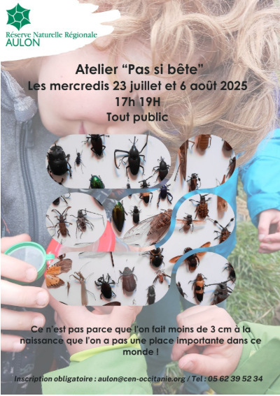 Aulon : Atelier "Pas si bête" les 23 juillet et 6 août | Vallées d'Aure & Louron - Pyrénées | Scoop.it