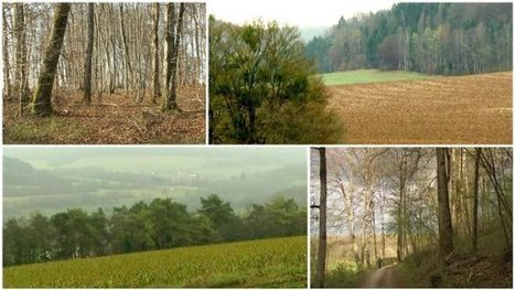 Le projet du parc national Champagne-Bourgogne suscite encore de nombreuses interrogations - France 3 | Biodiversité | Scoop.it