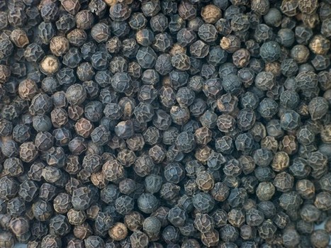Le poivre, la perle des baies - A la une, Nutrition - Destination Santé | Epices, aromates, poivre et vanille | Scoop.it